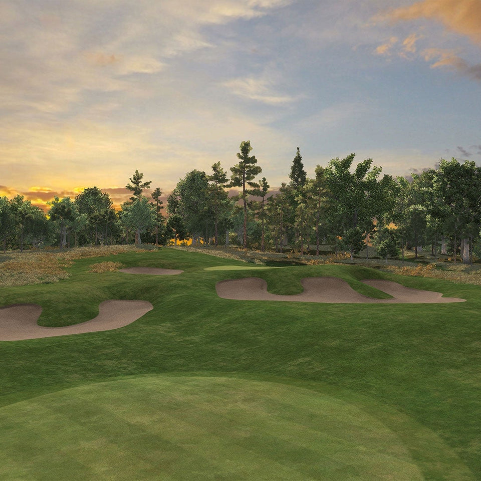 Plenty Of Options With Golf Sim Software