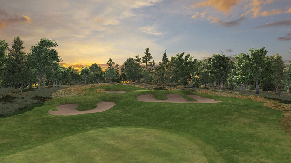 Plenty Of Options With Golf Sim Software
