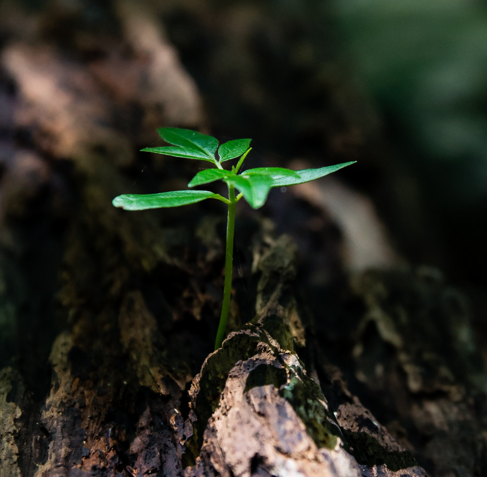 3-10% Commissions on Top Brands