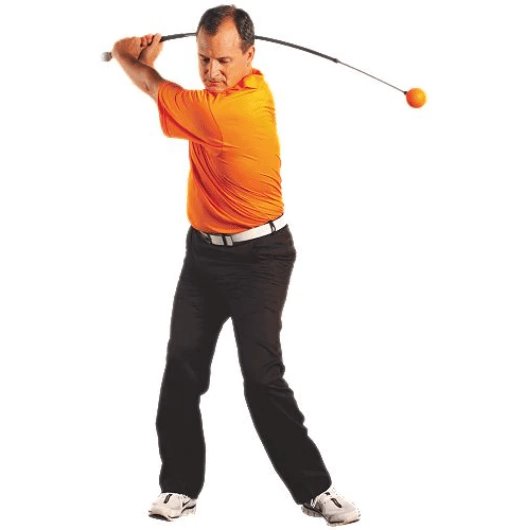 Orange Whip Trainer